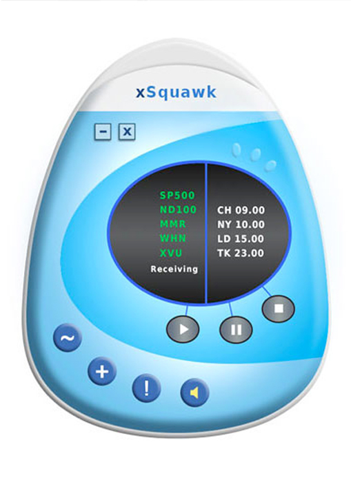 Custom software design for xSquawk LLC — © Jane Rubin 2004